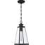 Lanterne suspendue d’extérieur 1 lampe noir mat Bednar