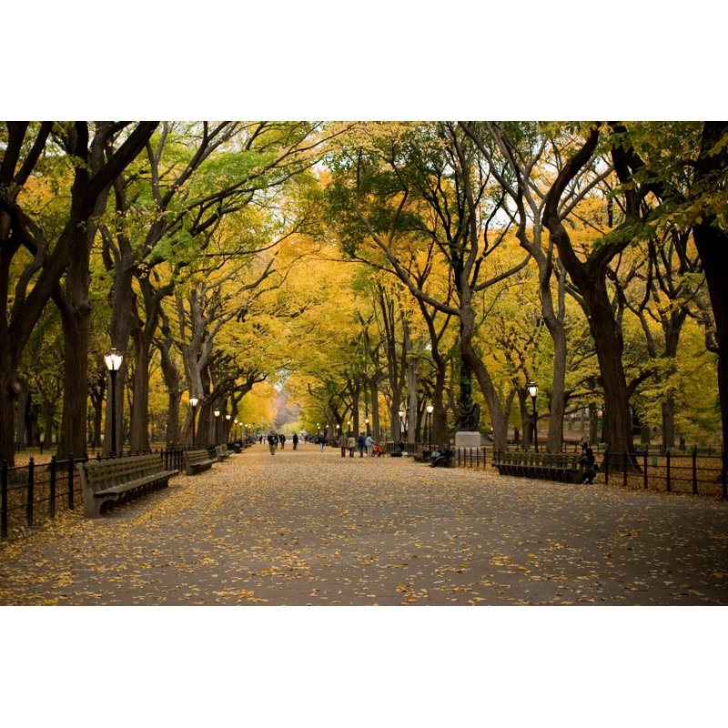 Central Park by Zxvisual, 32" H x 48" W