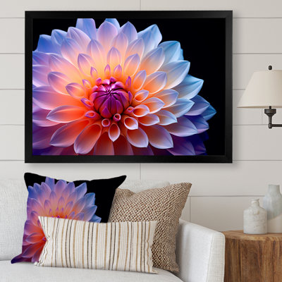 Dahlia rose étreinte efflorescente - imprimé