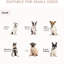 Niche pour chien en bois au design élégant, pour petits chiens, table de bout chiot gris, spacieuse et protégée