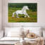 Shire à cheval dans la prairie