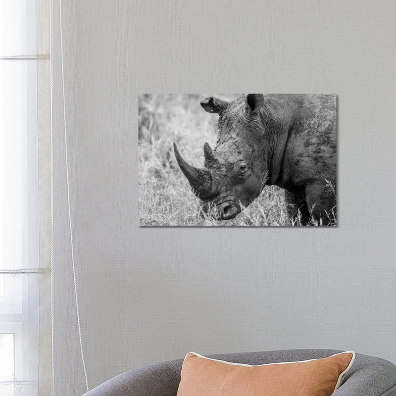 Rhino's Male by Anders Jorulf - Wrapped Canvas Print, 66.04 cm H x 45.72 cm W x 1.91 cm D