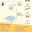 Luminaires modernes en cristal avec anneaux-1213869651-1213869653