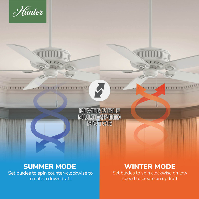 54" Ainsworth 5 - Blade Standard Ceiling Fan with Pull Chain, Cottage White