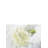 Raelynn Foam Lillies Arrangement