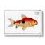 Frederics Salmon Fish by M.E. Bloch - Wrapped Canvas-55364167