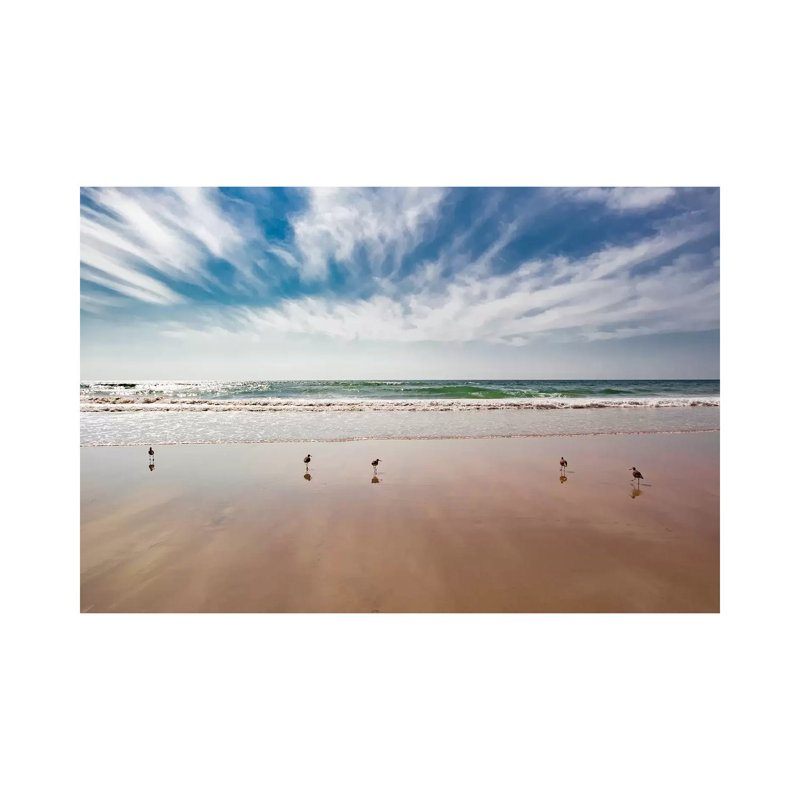 Birds On Beach, Del Mar by Barbara Markoff - Wrapped Canvas Print, 45.72cm H x 66.04cm W x 1.91cm D
