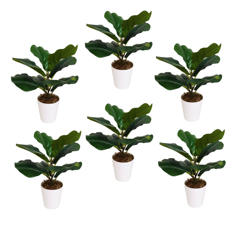 Ananias 38cm Faux Foliage Plant in Pot