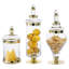 Kitchen Lid Glass Jars Canister Set