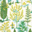 Pandora Embroidery Fabric
