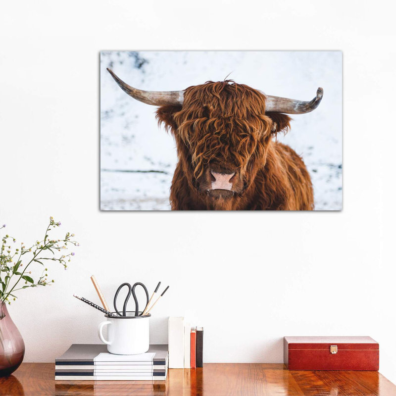 Highland Cattle II by Steffen Fossbakk - Wrapped Canvas Print, 66.04 cm H x 45.72 cm W x 3.175 cm D
