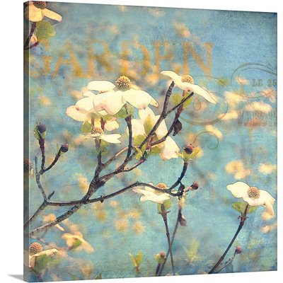 'Dogwood II by Amy Melious Photographic Print