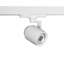 Paloma Track Head-12425043-12425044-65879154