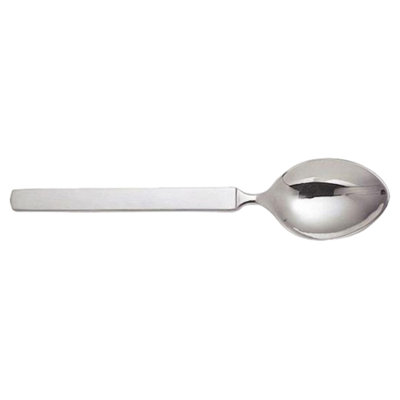 Dry Stainless Steel Teaspoon