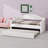 Modern Tufted Upholstered Daybed, Velvet Sofabed with Trundle-128930539