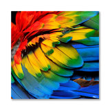 Rainbow Feathers Two Print
