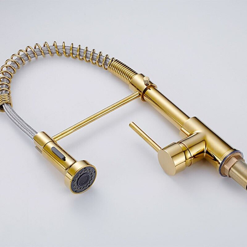 Belfry Kitchen Wall Pull Down Kitchen Faucet, Gold