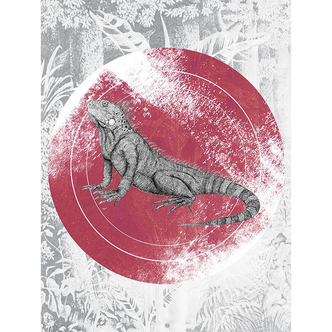 Poster Iguana Circle