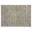 Machine Washable Indoor/Outdoor Cicel ACN1135 Tan 9' x 12' Rug-100210351