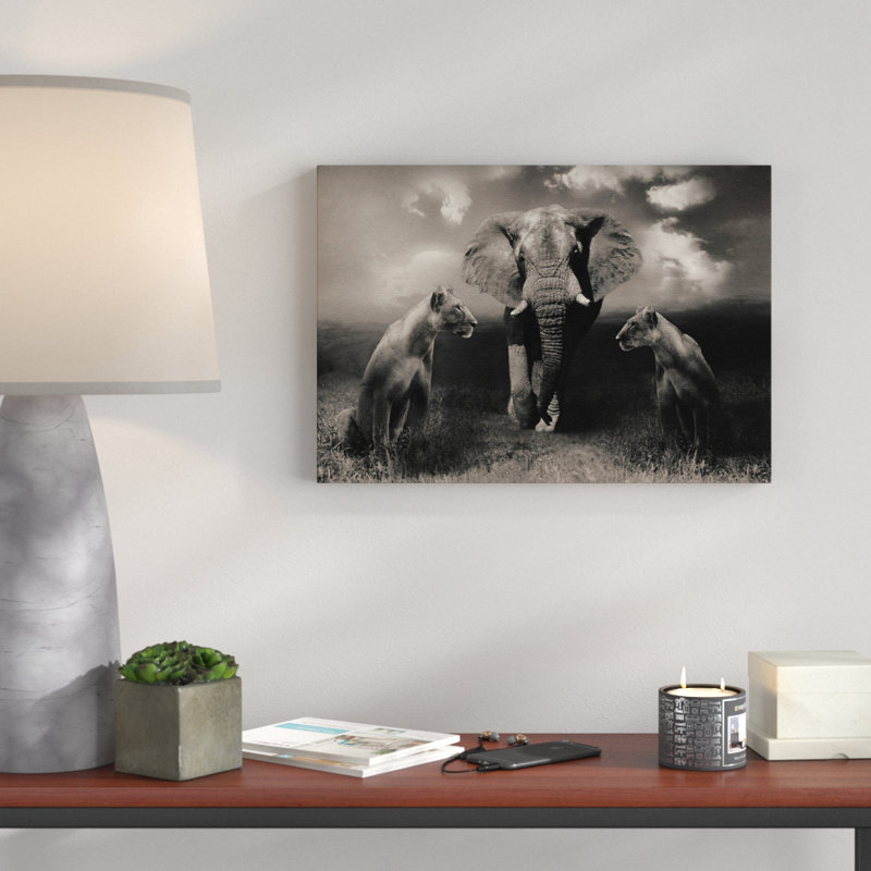 Lion Lionesses and an Elephant Photographic - Wrapped Canvas, 40cm H x 60cm W