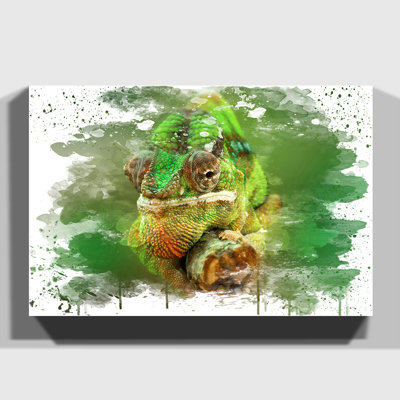Chameleon Lizard Reptile - Wall Art