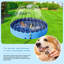 Grande piscine pliable pour chien avec arroseur-95981003