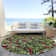 Machine Washable Indoor/Outdoor Christmas Cherries Xhevrie Black Rug