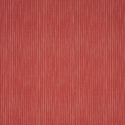 Schumacher X Laura Gonzalez Hallucination Fabric