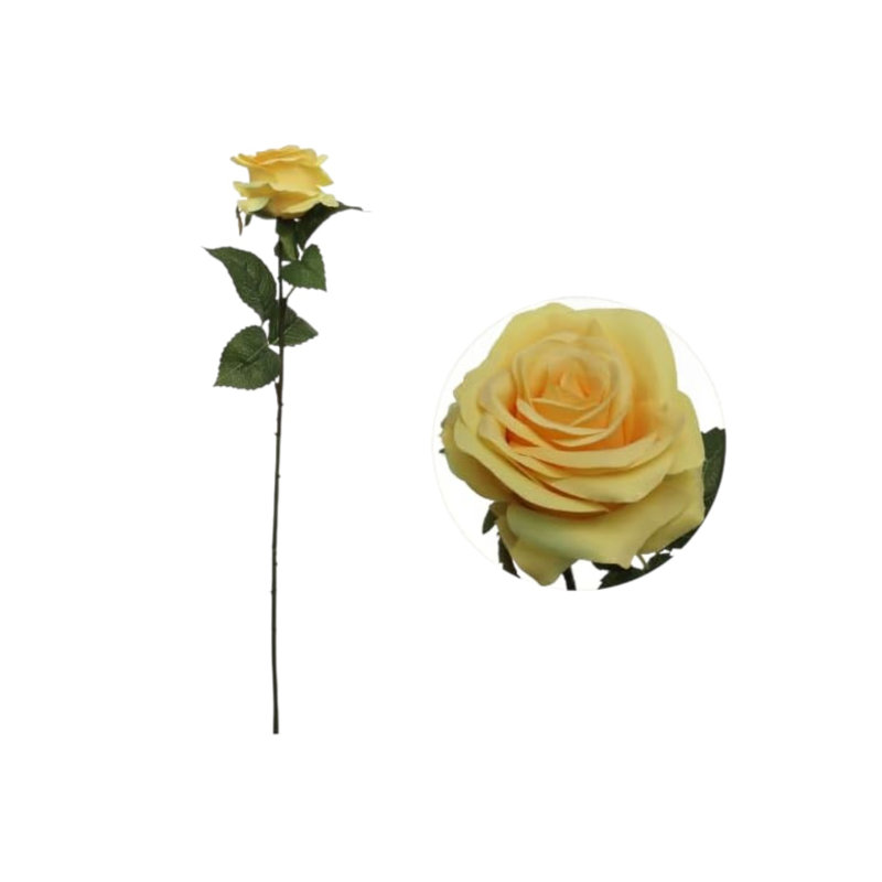 20" Open Rose Stem - 12 Pack