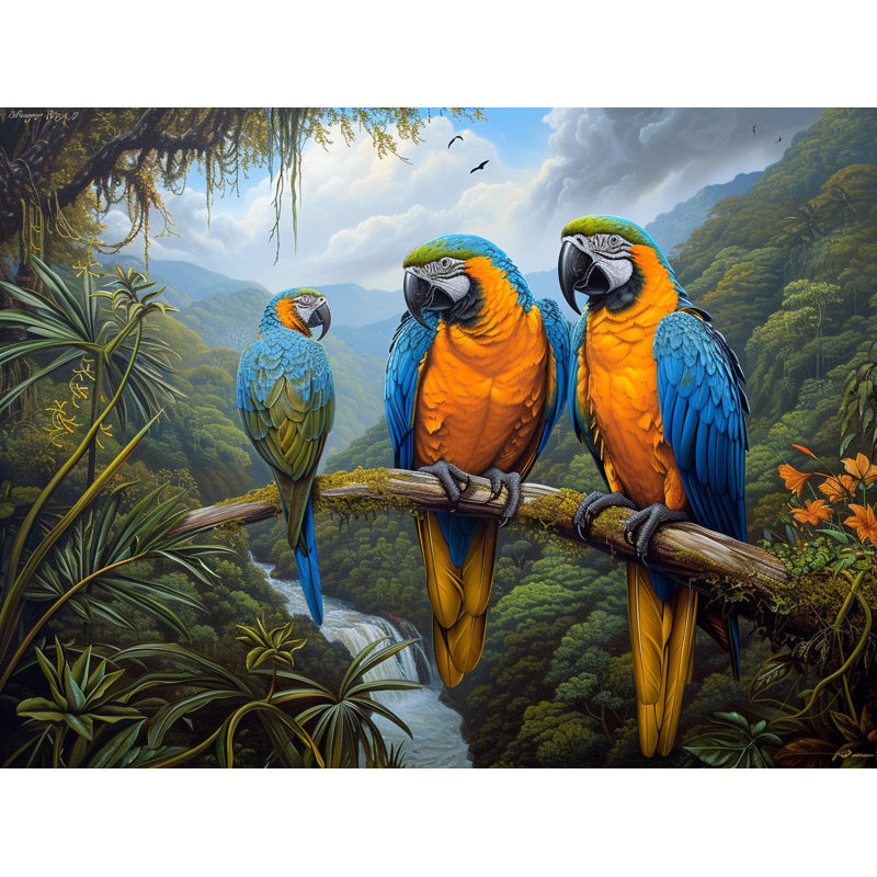 Tapis de bain perroquets, faune, décor de salle de bain tropical, L 17 po x L 24 po