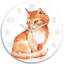 Jorjey Glass Wall Clock