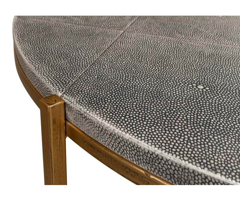 Shagreen Coffee Table