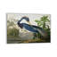 «Wick Louisiana Heron» par John James Audubon, reproduction sur toile-1020675319-1020675308-1046093001