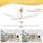 60-Inch 3-ABS Blade Modern Ceiling Fan With Light and Amazon Alexa/Voice/Remote/APP Control（Gold&White）-1477402187
