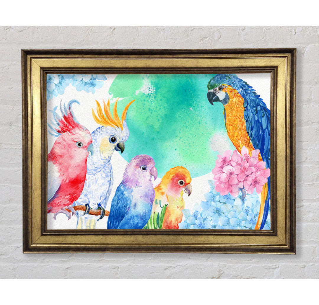 Array Of Watercolour Parrots - Einzelne Bilderrahmen Kunstdrucke