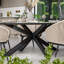 Bali 6 Seater Ellipse Dining set with Rope Chairs 
