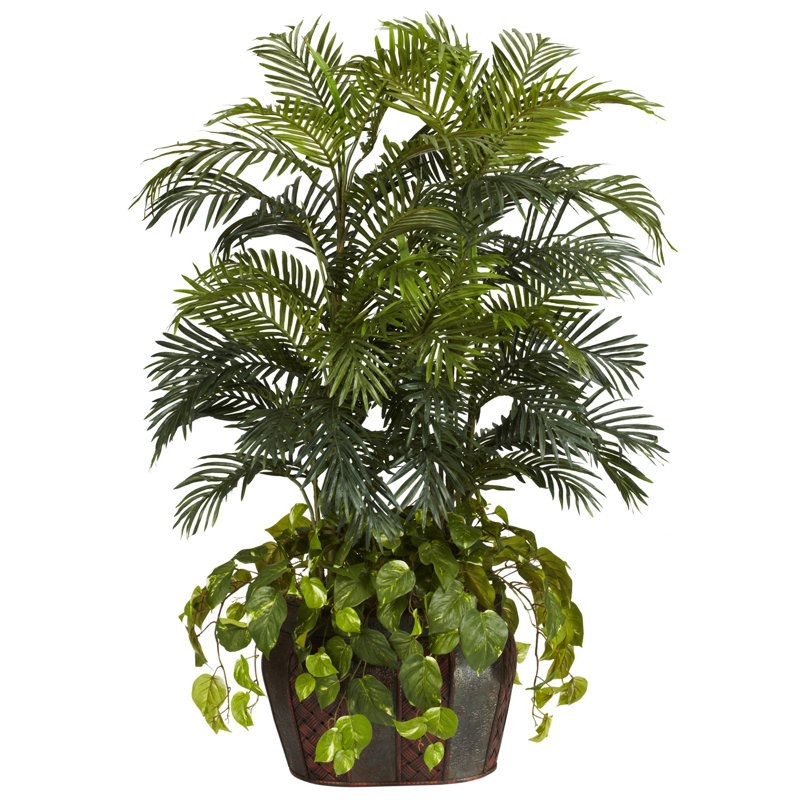 Double 4,5 pi Areca avec vase et plante en soie Pothos, H 54 po x l 36 po x P 32 po