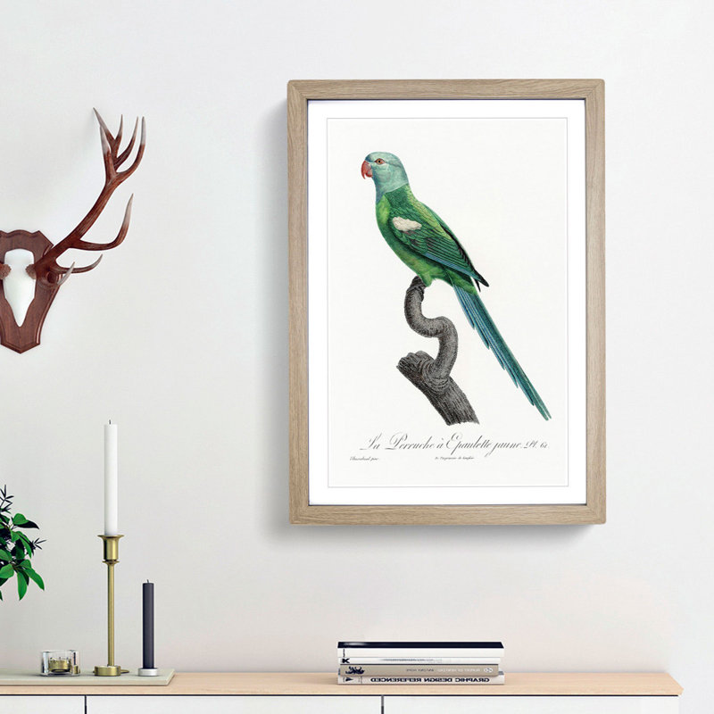 Yellow-Shouldered Amazon Macaw Parrot by F. Levaillant - Picture Frame Graphic Art Print, 36cm H x 27cm W x 2cm D, Oak Framed