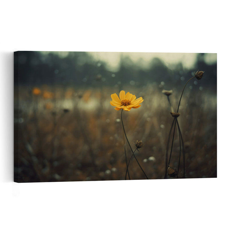 Fleurs solitaires, paisibles, sereines, tranquilles, impression d'art mural de fleurs d'automne, H 40 po x l 60 po