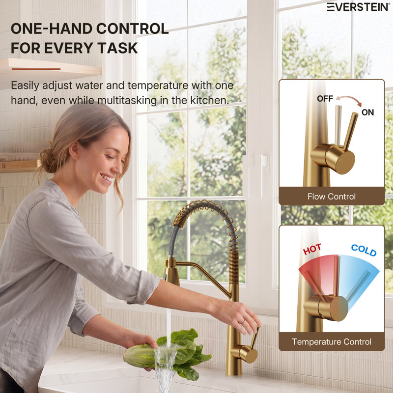 Commercial Dual-Function Pull Down Kitchen Faucet with High Arc Spring Spout , Brushed Gold