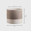 8 po Jardinière Sakura-137721273-137721272