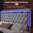 
Gerasim Bed Frame with Two Storage Drawers & LED Headboard Acrylic Mirrored,Velvet Upholstered Platform Bed-2123045524-2123045526