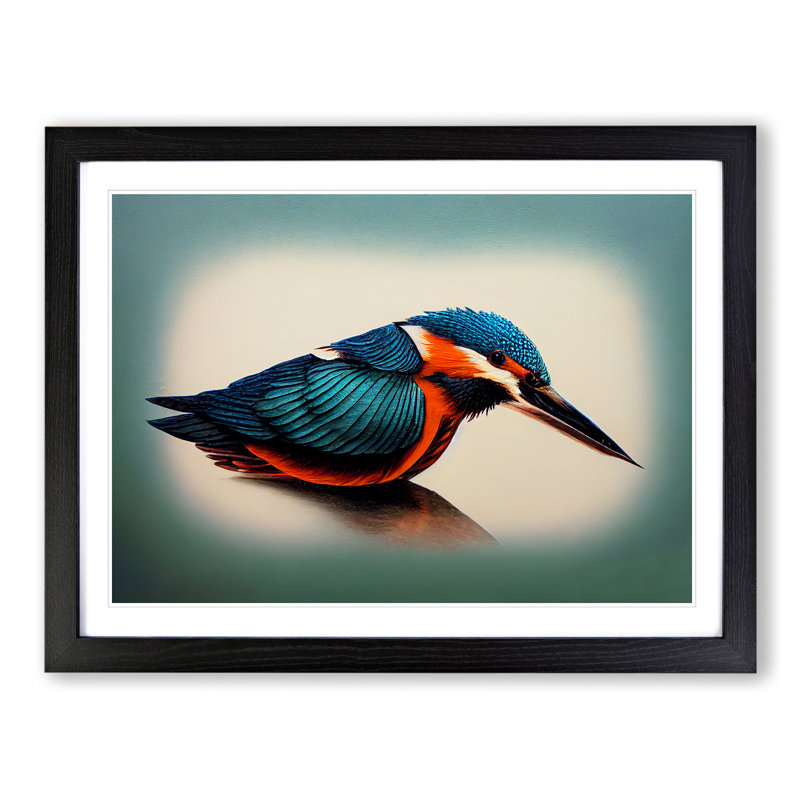 Vibrant Kingfisher Bird - Framed Print, Black, 34cm H x 46cm W x 2cm D