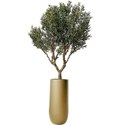 Artificial Olive Tree In Matte Black St. Tropez Planter