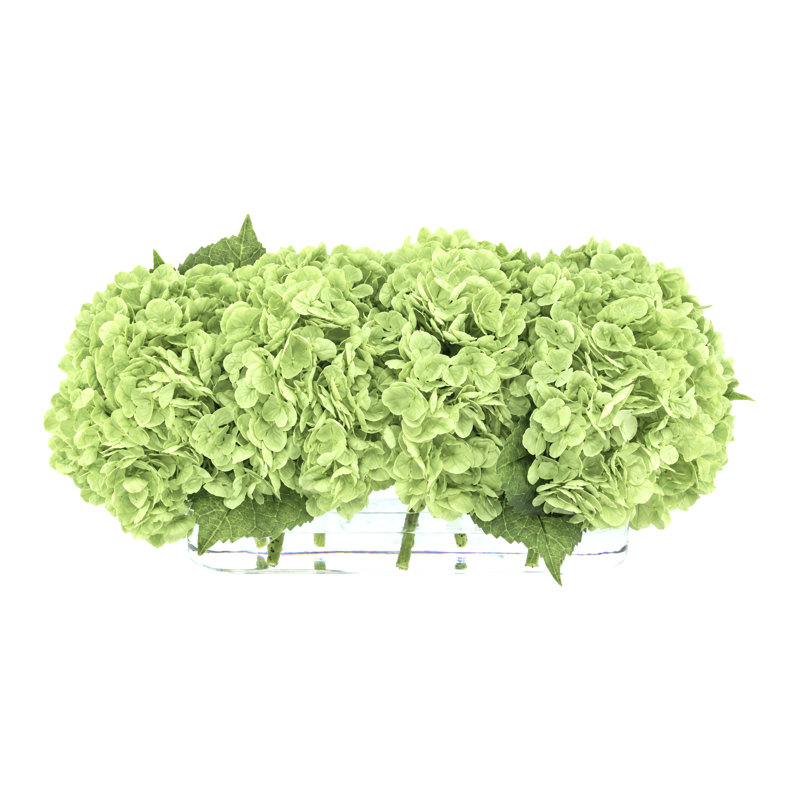 Arrangement floral d'hortensias dans un vase, Green