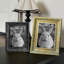 Cadre 8 po x 10 po à décor de paysage or antique 1pc pour décor de salon-133655907-133655906-133655909