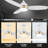 Ekamjeet 48'' Ceiling Fan with LED Lights
