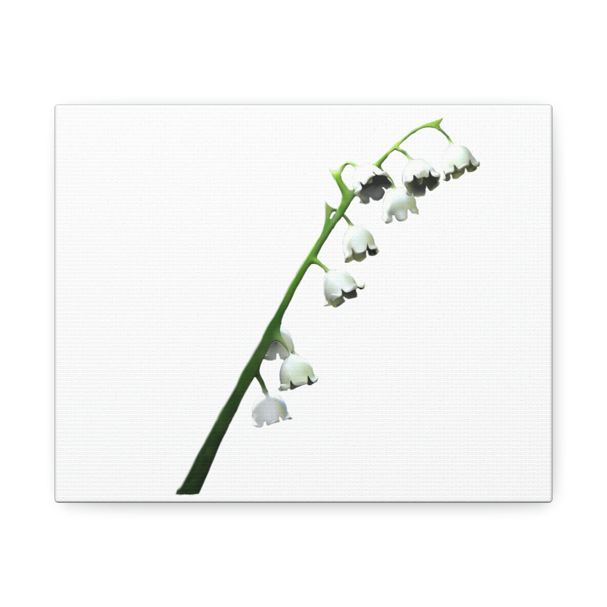 Wildon Home® Lilly Wrapped Canvas Illustration Wayfair 6059