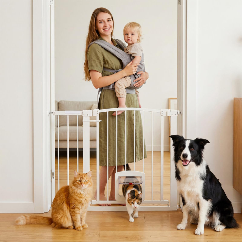 Barrière de sécurité pour chien à pression, sans perceuse avec double verrou et rabat intégré pour chat