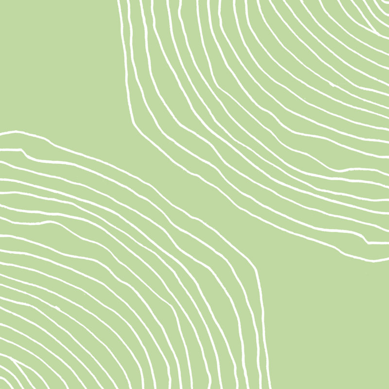 Sage Lines - Wrapped Canvas Art Prints, 122cm H x 122cm W